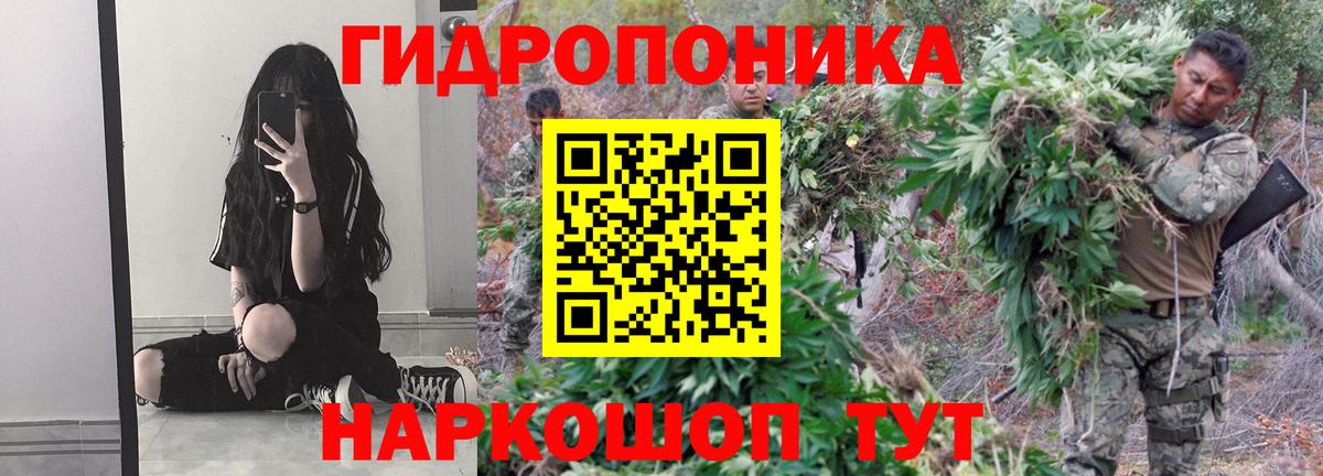 Кисловодск  Бошки Шишки конопля  Вход с VPN  Конопля LSD WEED  Бошки марихуана план 